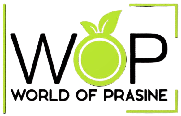 worldofprasine.com